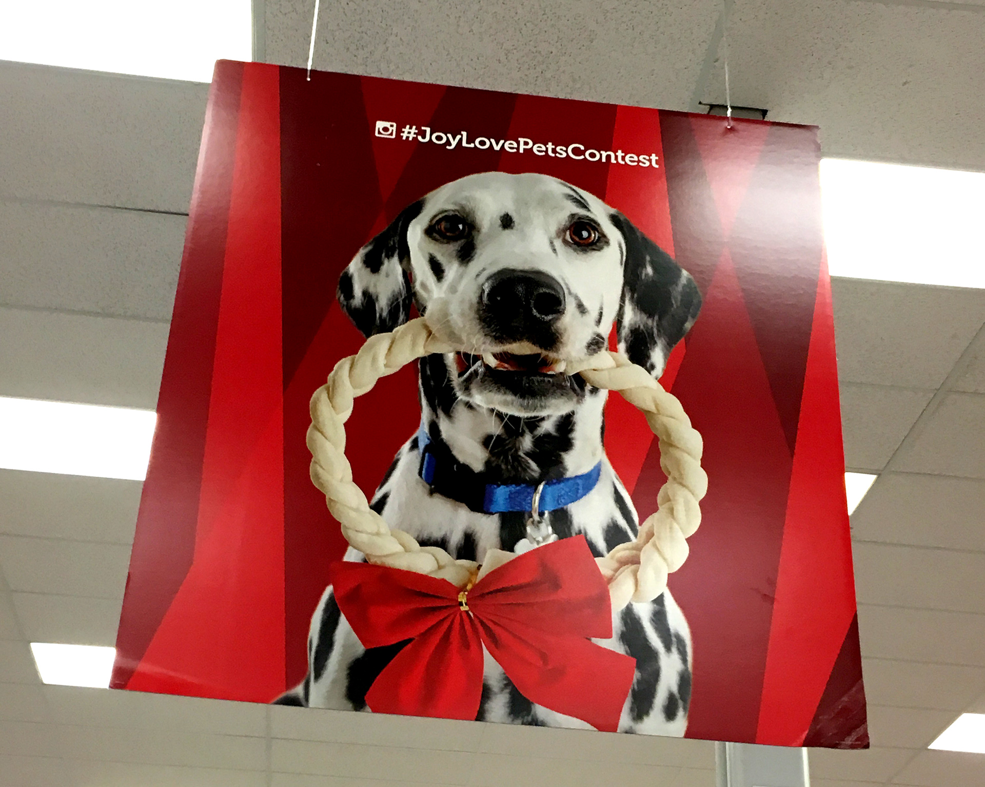 Brand Imagination Petco Holiday Joy. Love. Pets.