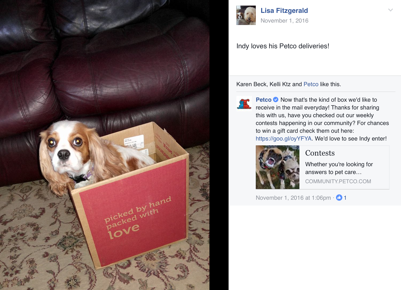 Brand Imagination Petco Shipping Box Redesign