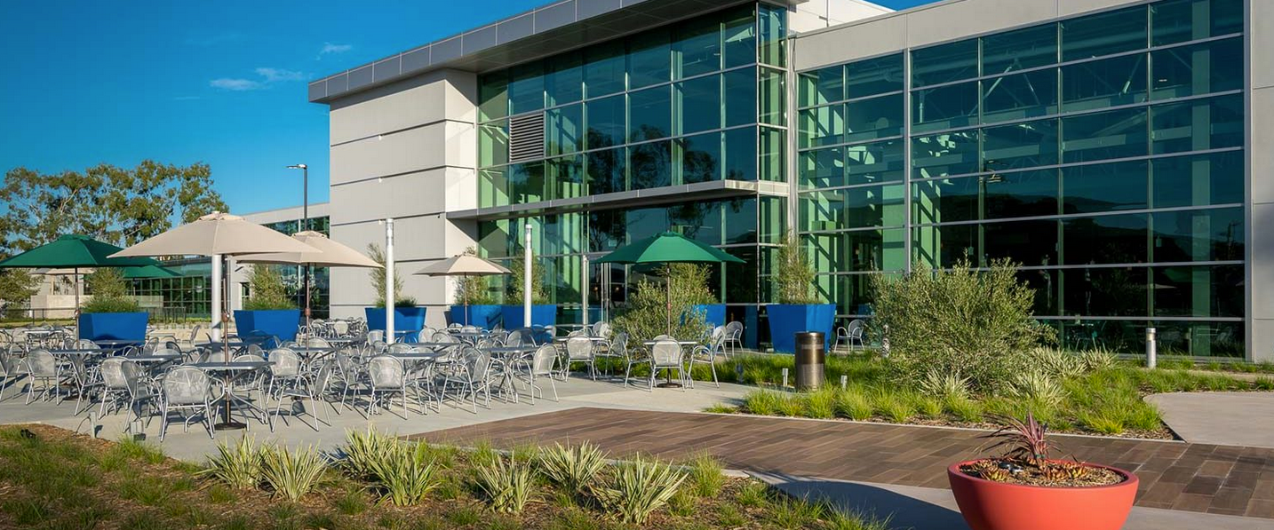 Brand Imagination Petco New Corporate Headquarters Experience