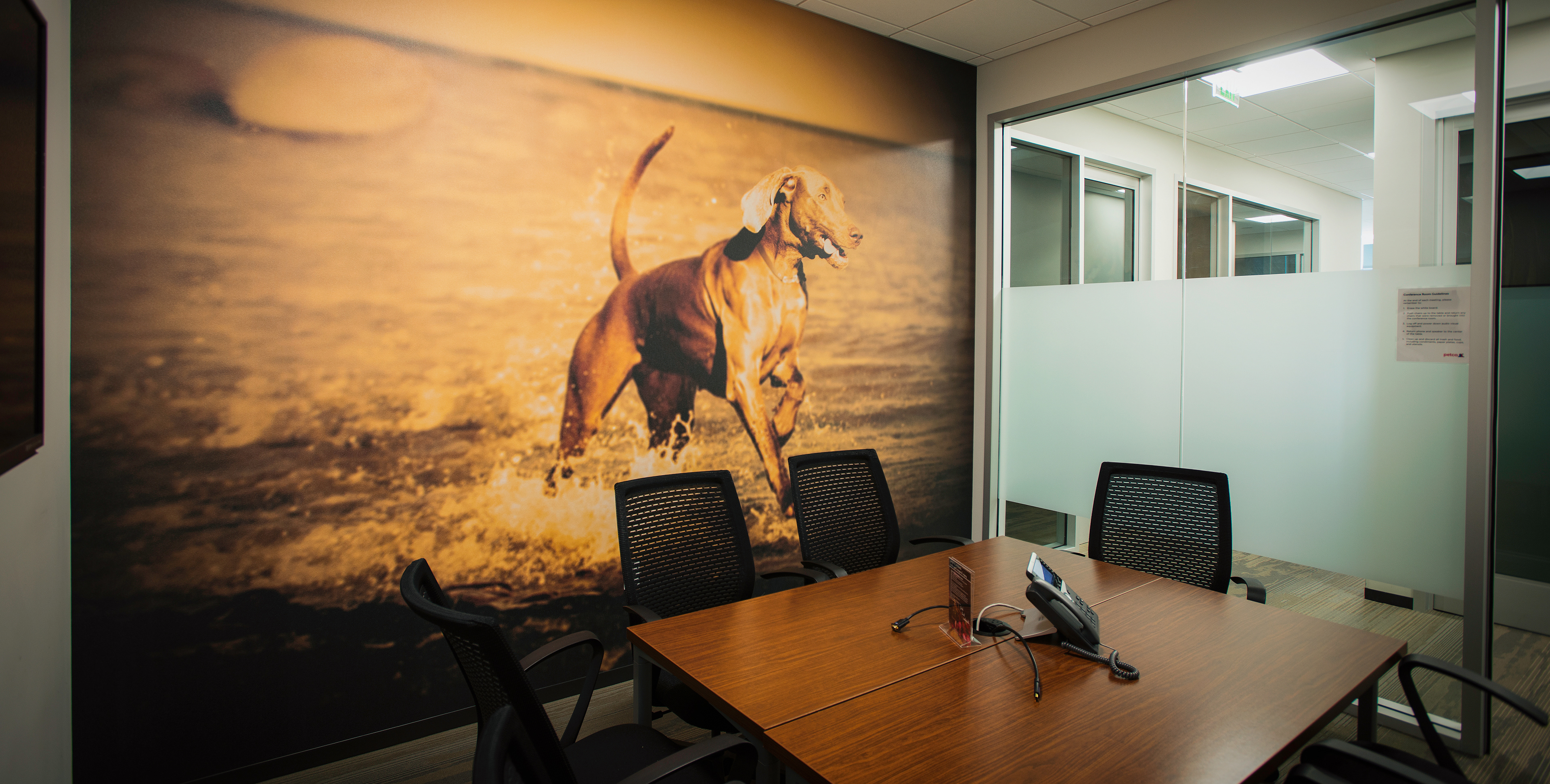 Brand Imagination Petco New Corporate Headquarters Experience