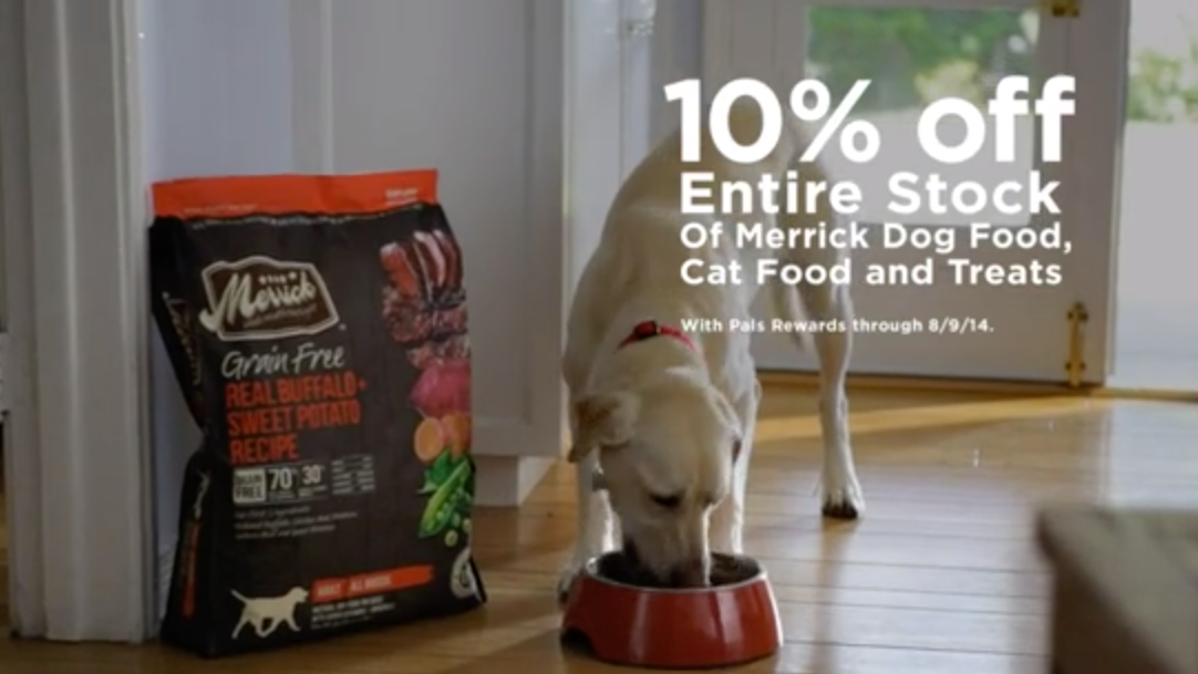 Brand Imagination Petco TV PetcoNow Delivery "Impatient Pets"