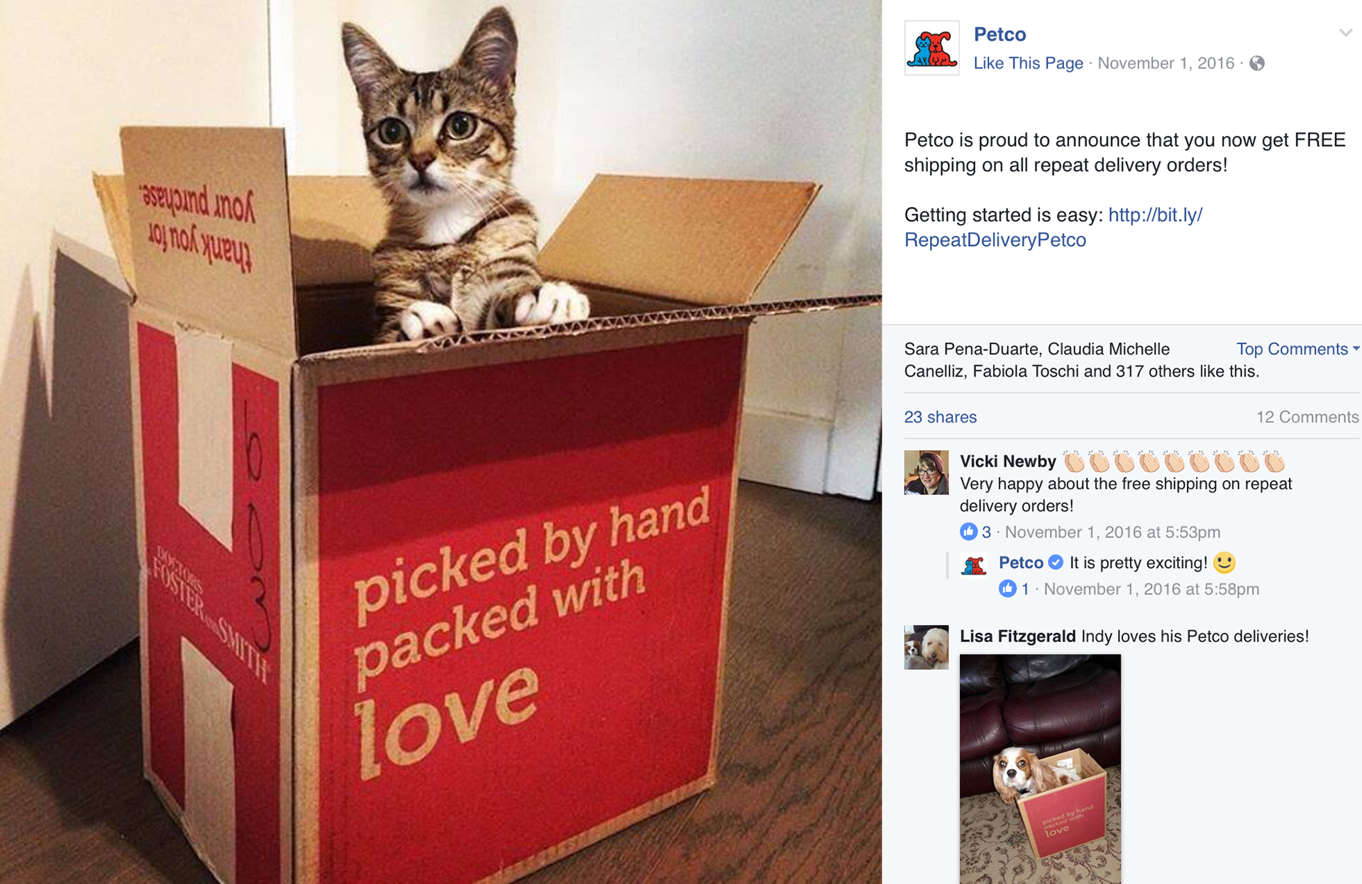 Brand Imagination Petco Shipping Box Redesign