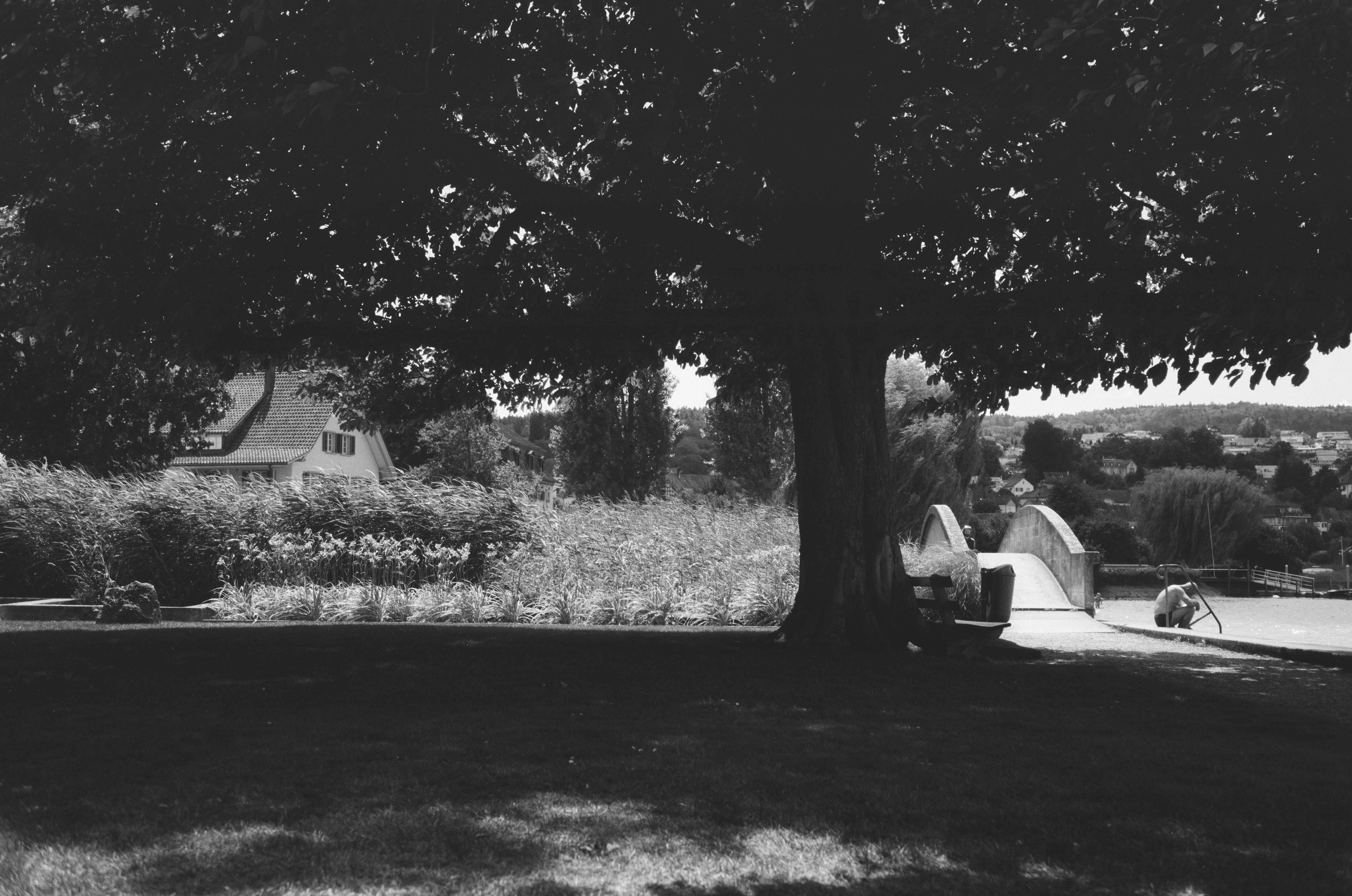 Kodak T-Max 400