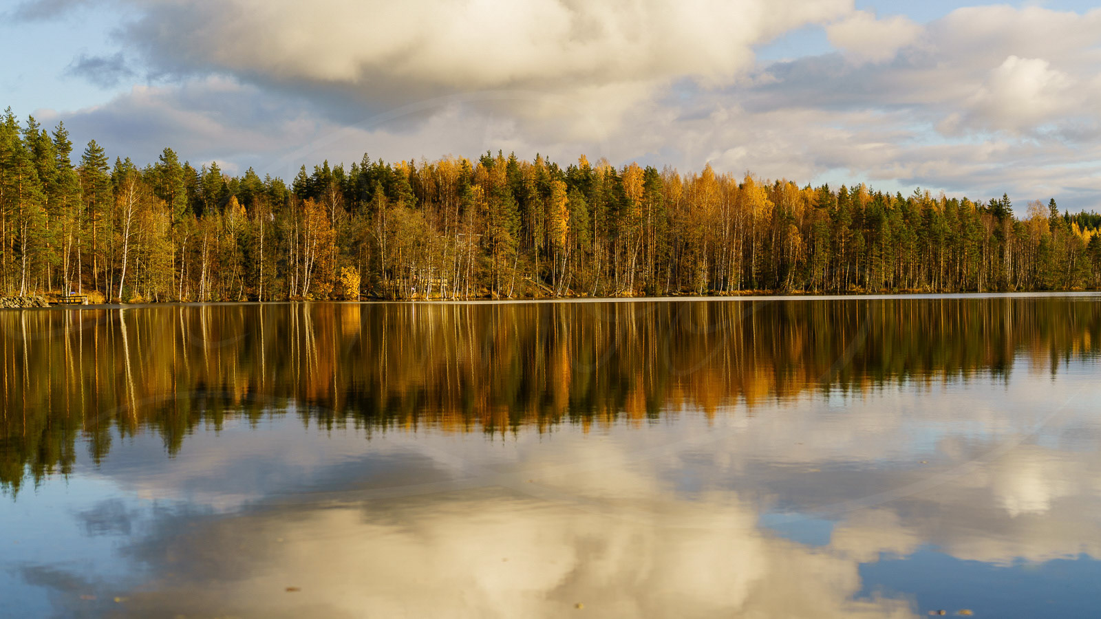 Autumn reflection