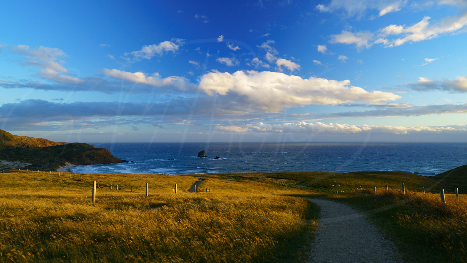 Sandy Winds, New Zealand