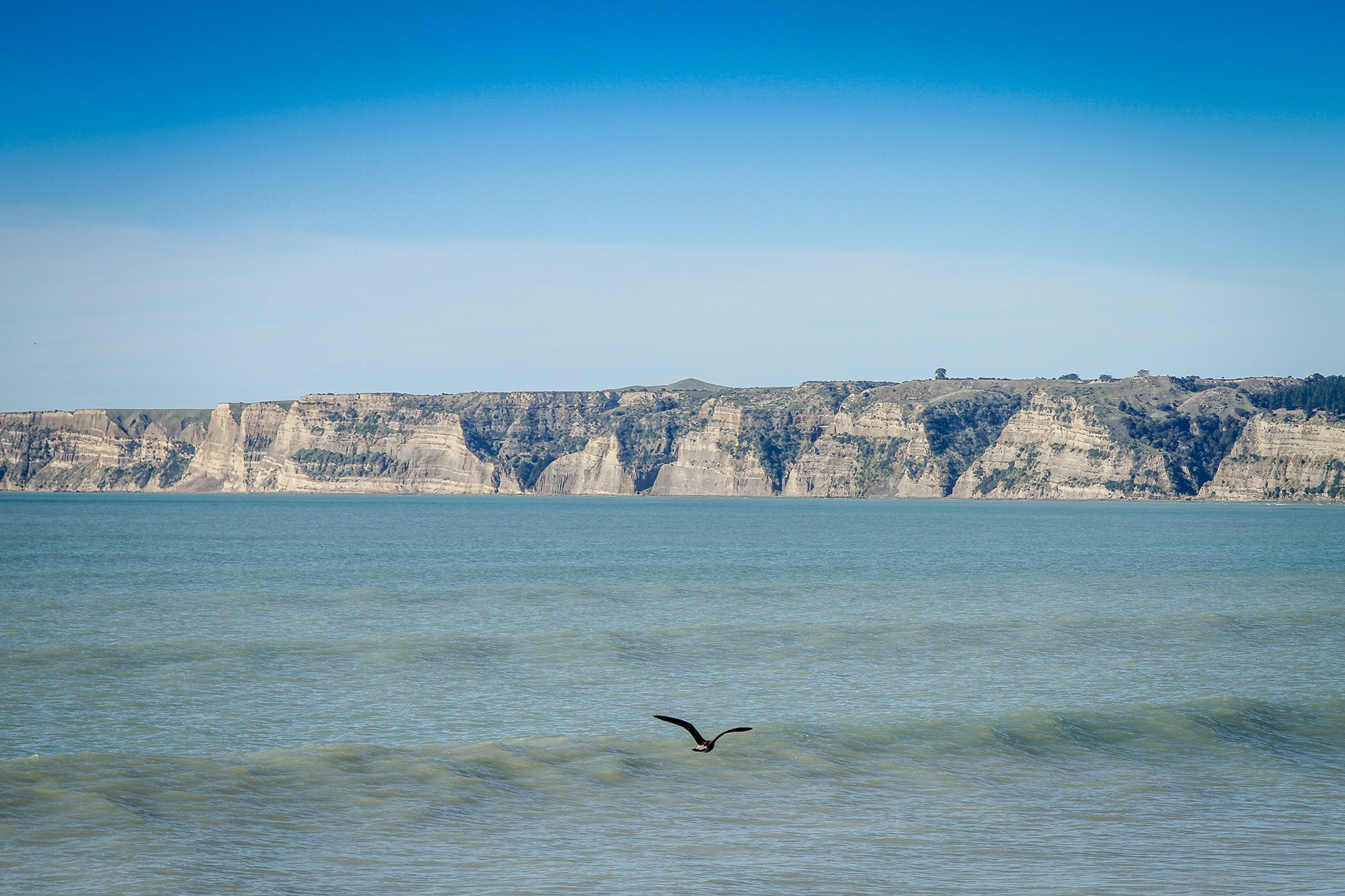 Cape Kidnappers