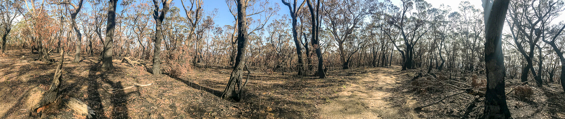 Hanging Rock Track