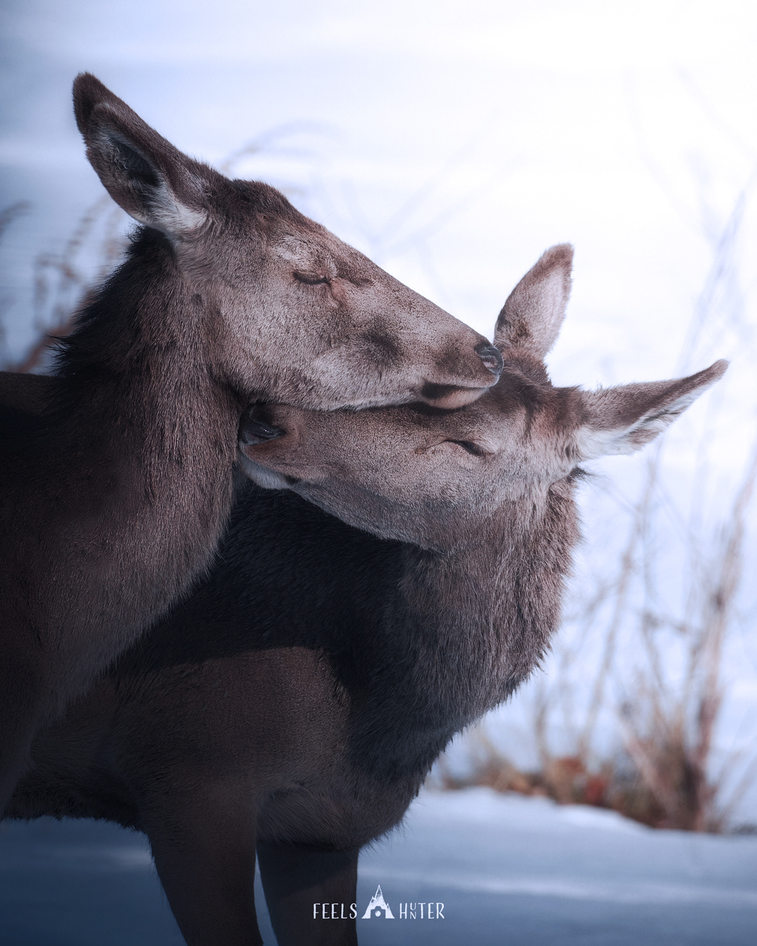 Coccole al sole - PNALM -