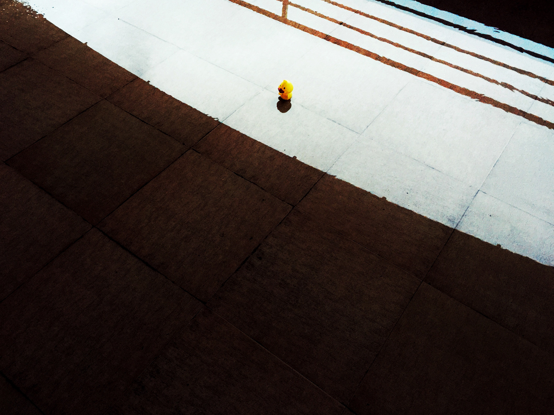 Rubber Duck. Mangalore, 2016