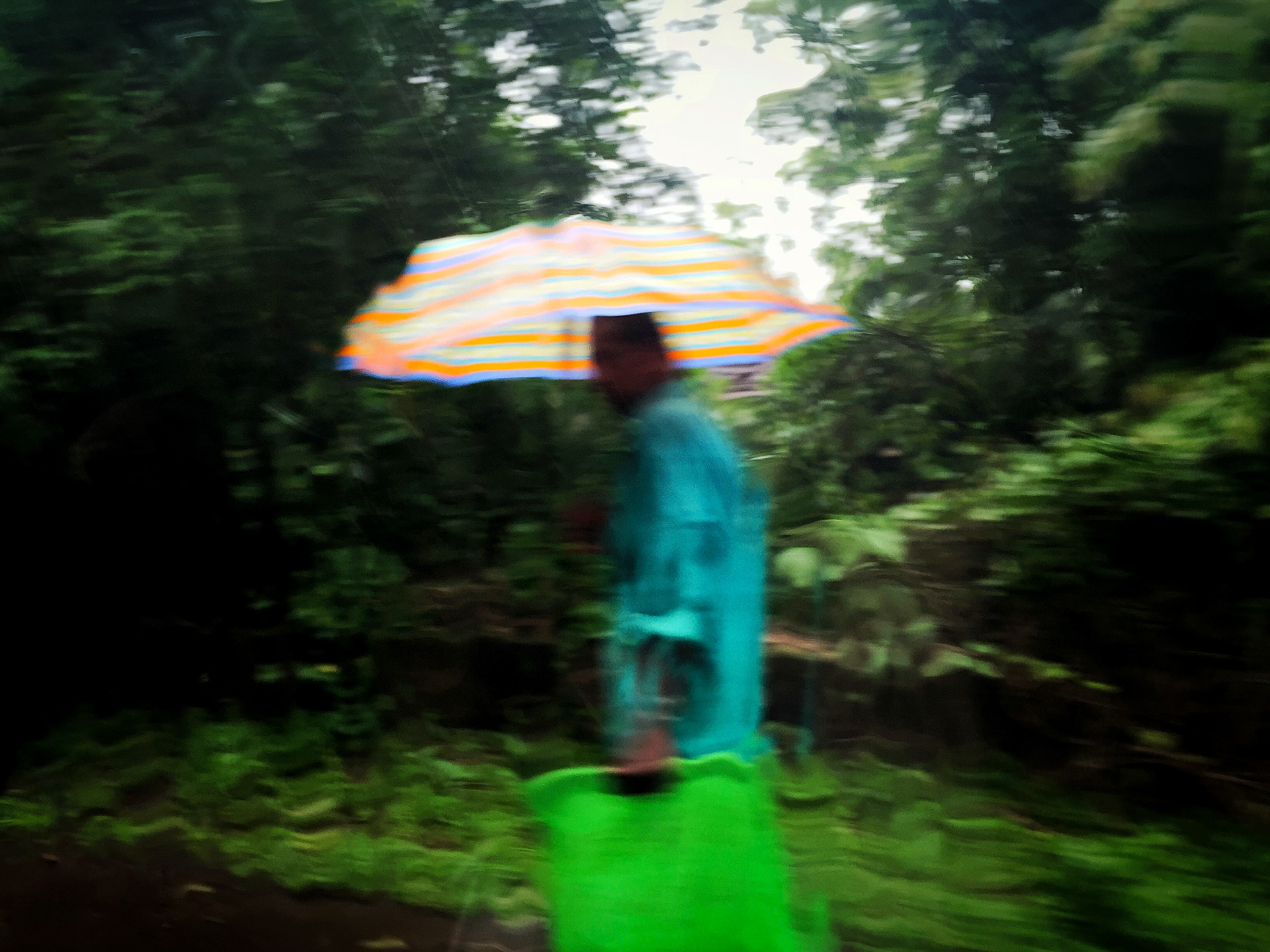 Wet man. Goa, 2016