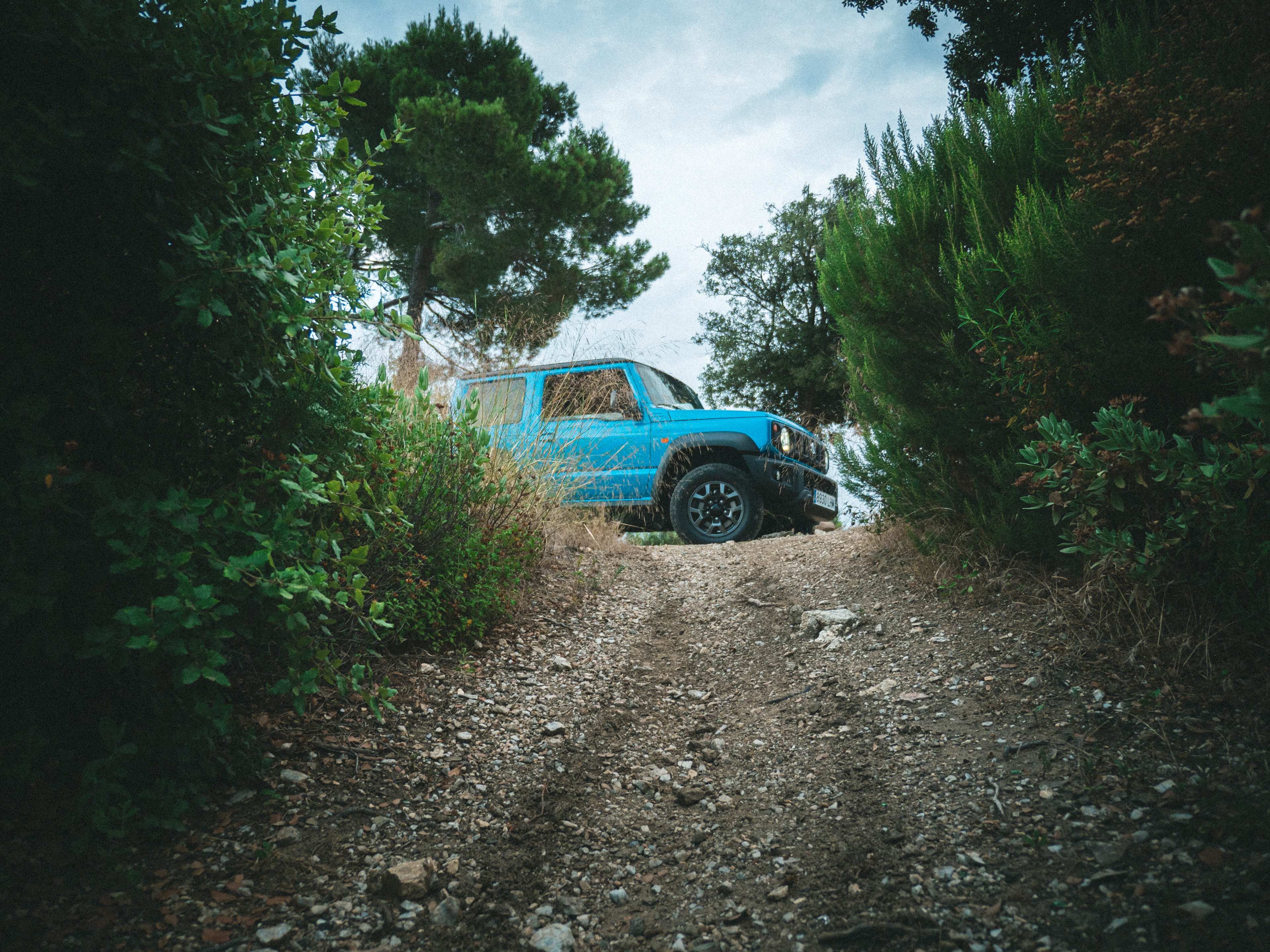 SUZUKI JIMNY
