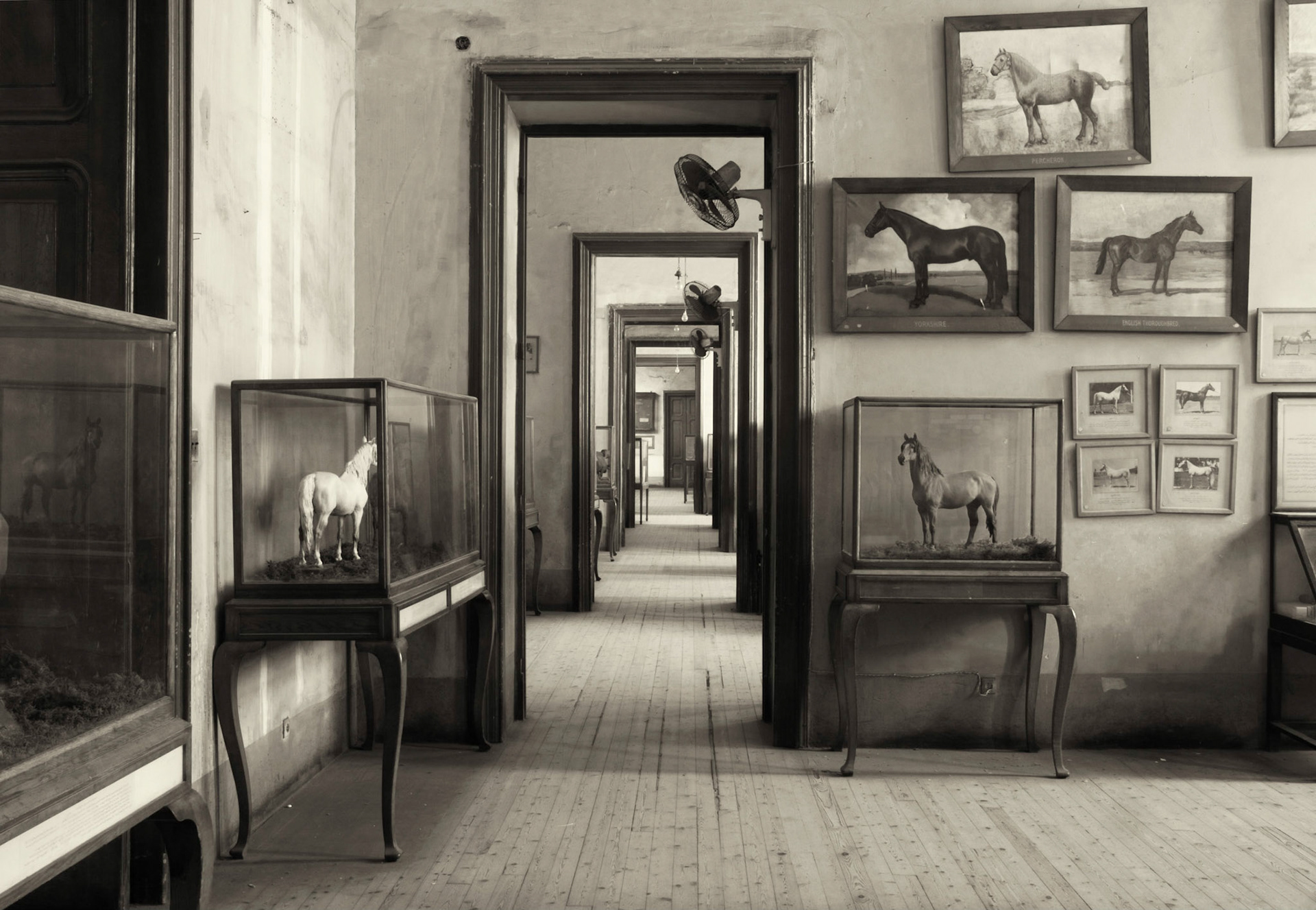 The Horse Room, 2006