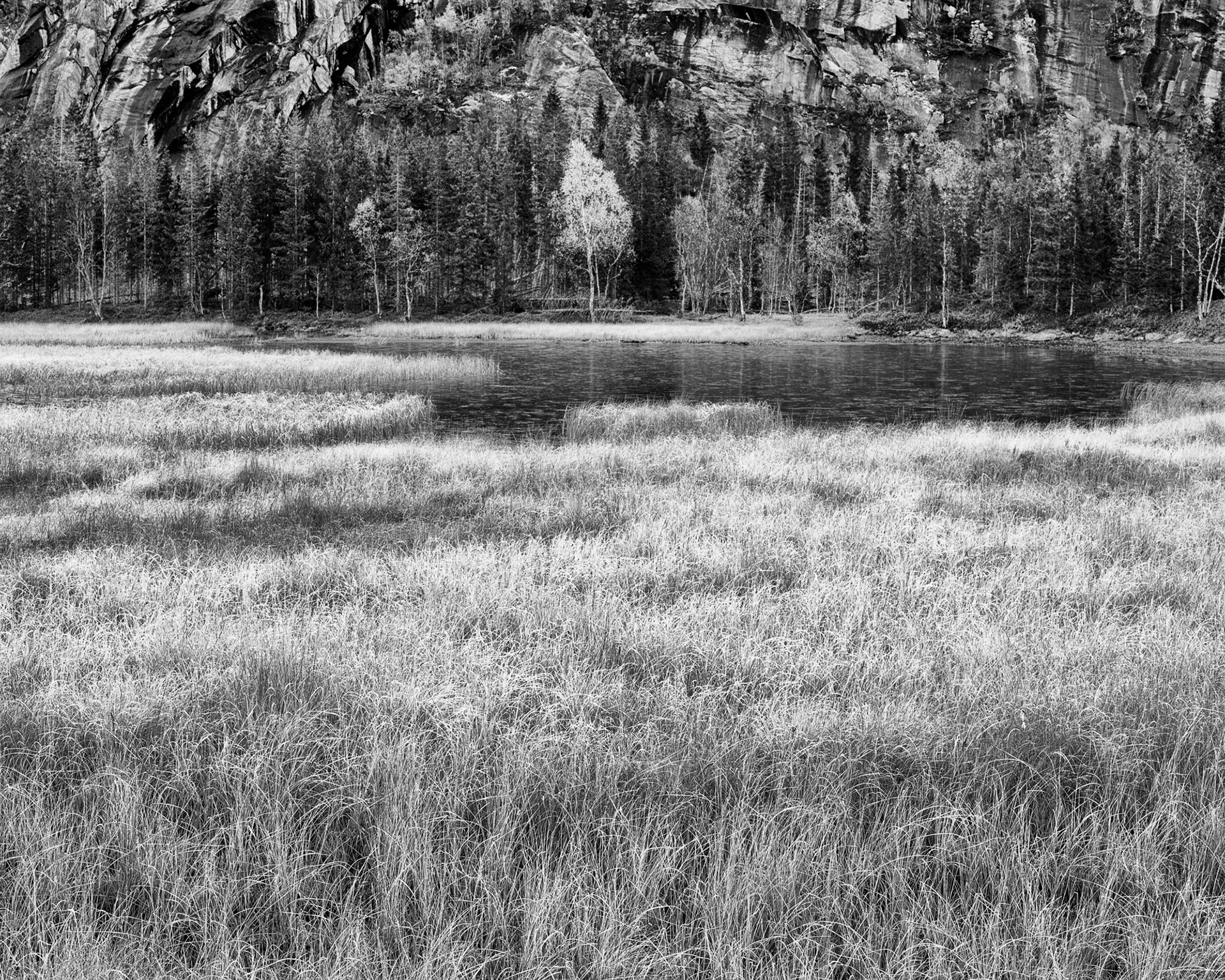 Rimfrost, Storforsneset, Sørfold 2013