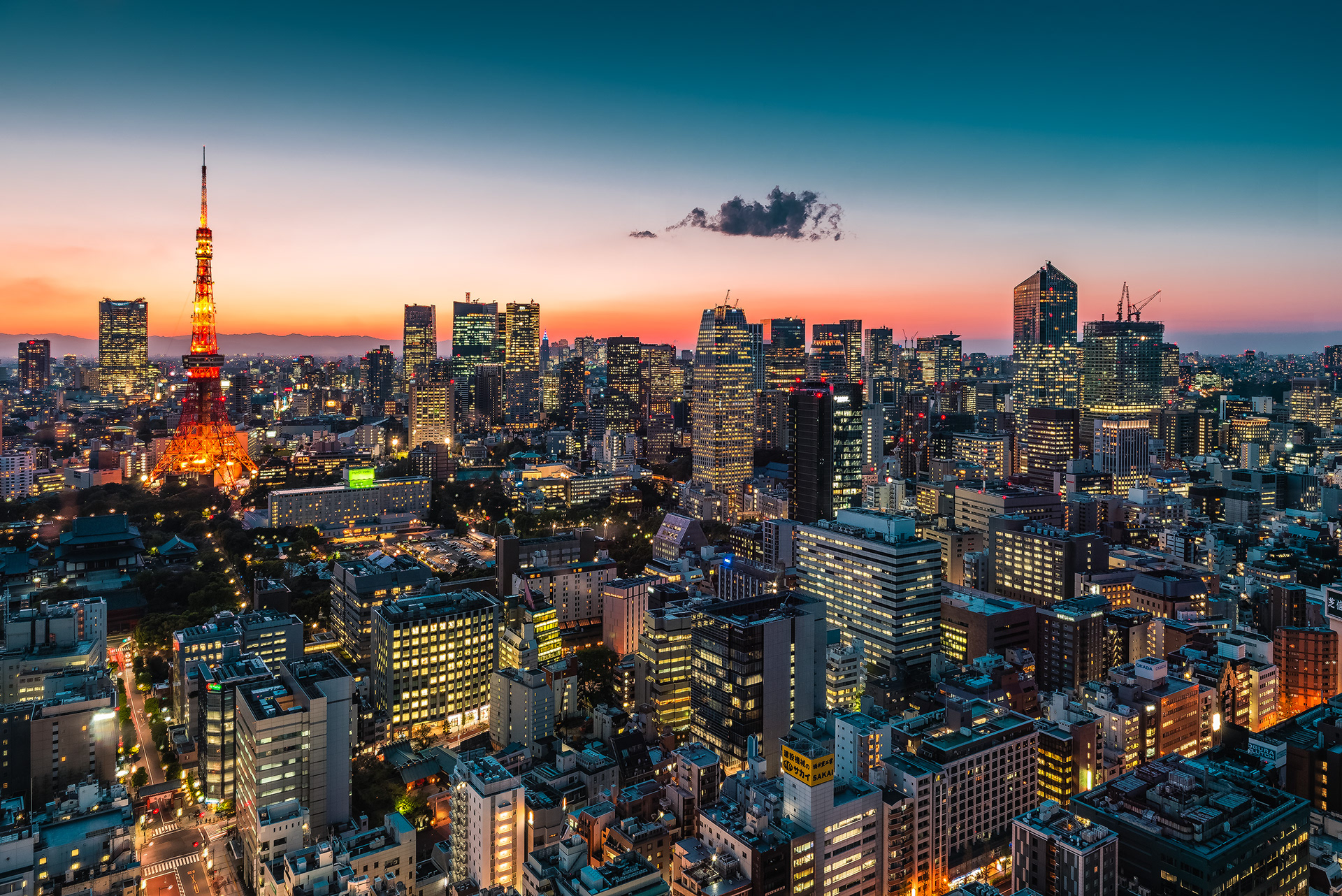 Tokyo Cityscape | © All rights reserved