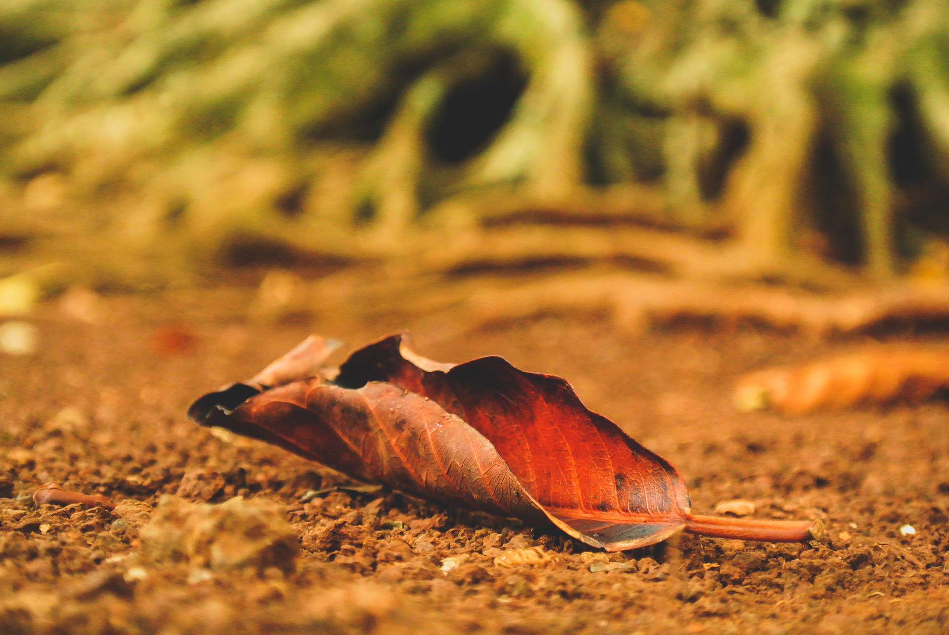 Unavailable | © All rights reserved