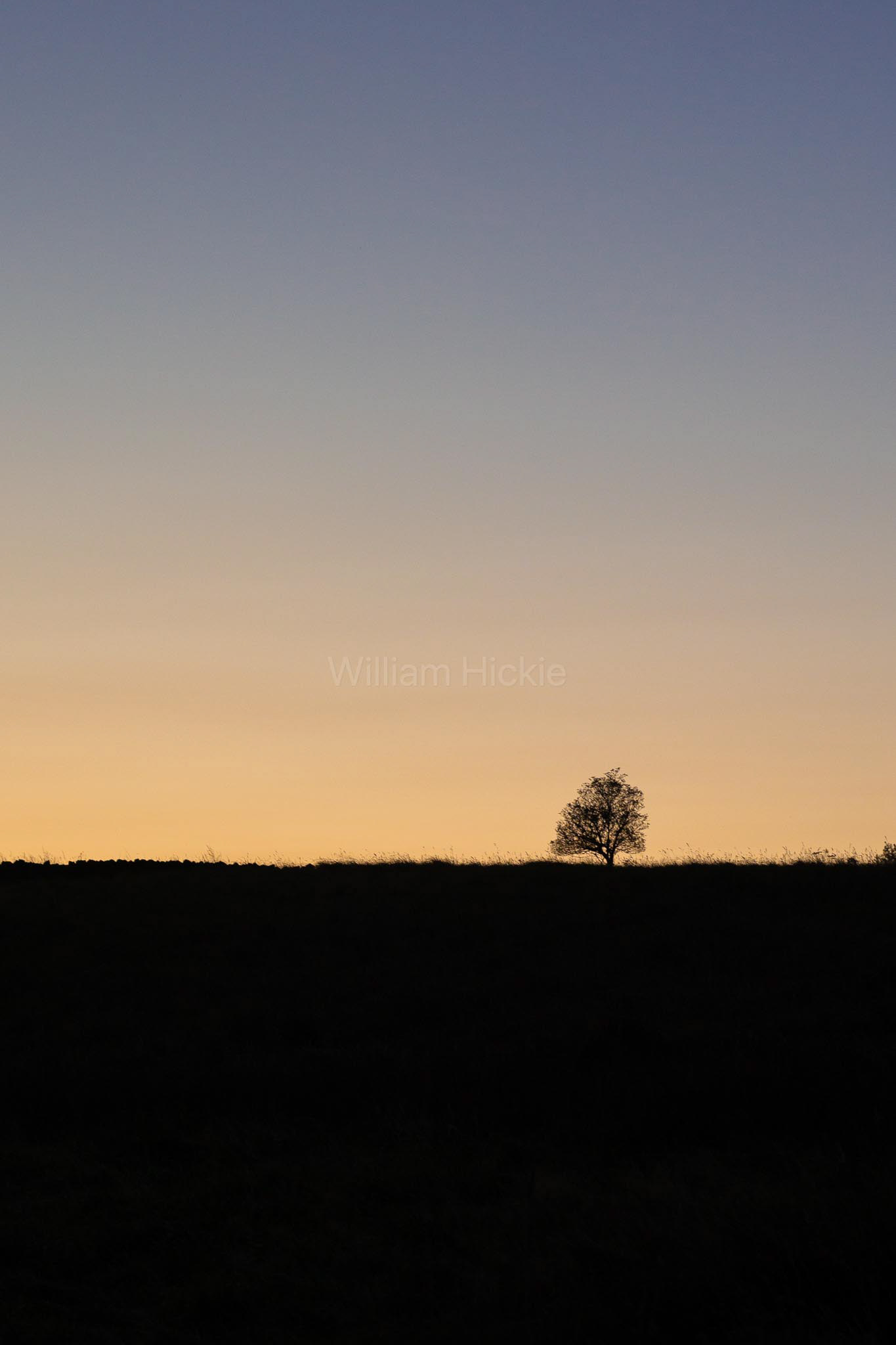 "Solitary"