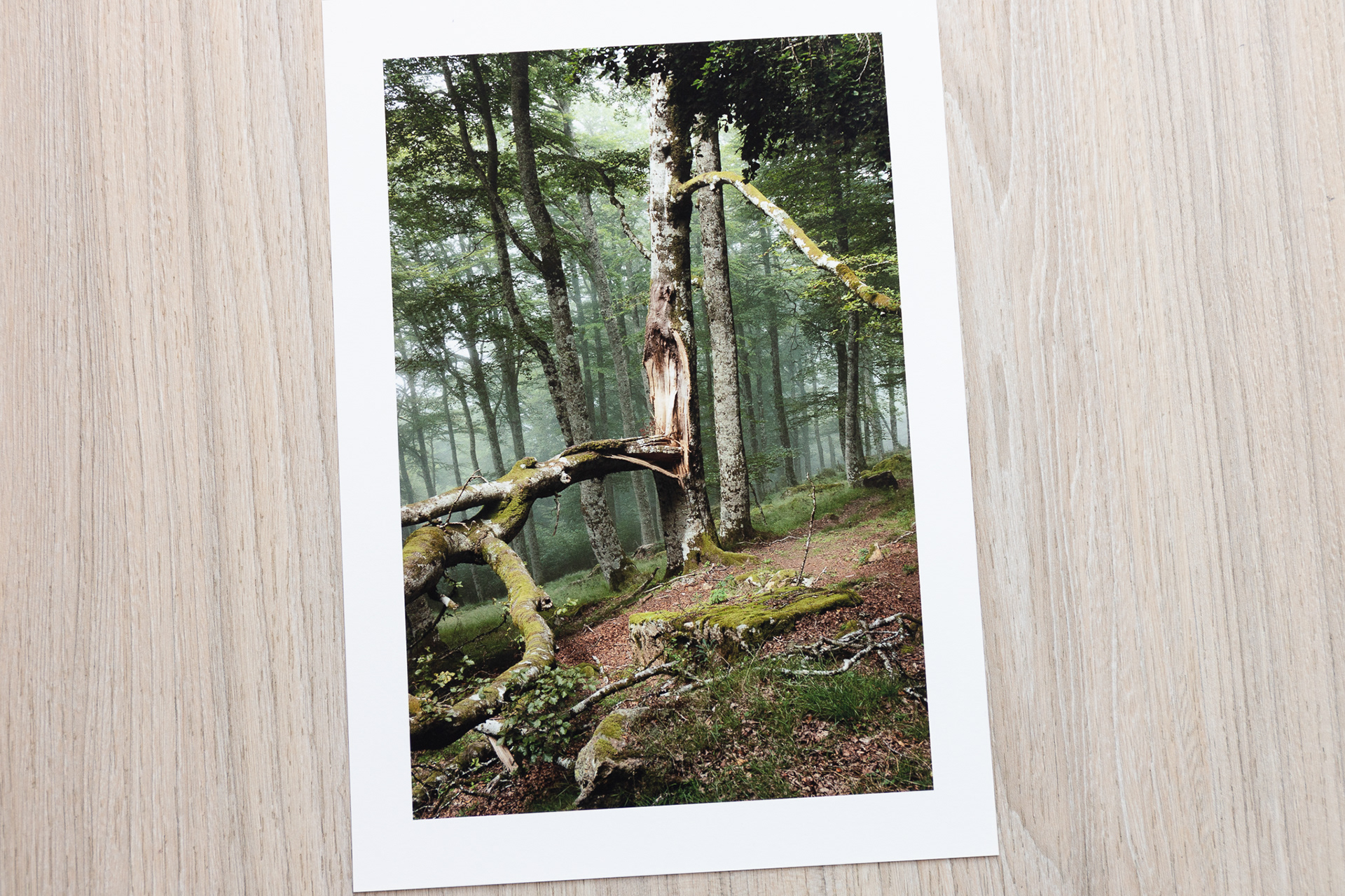 21x30 (25€)