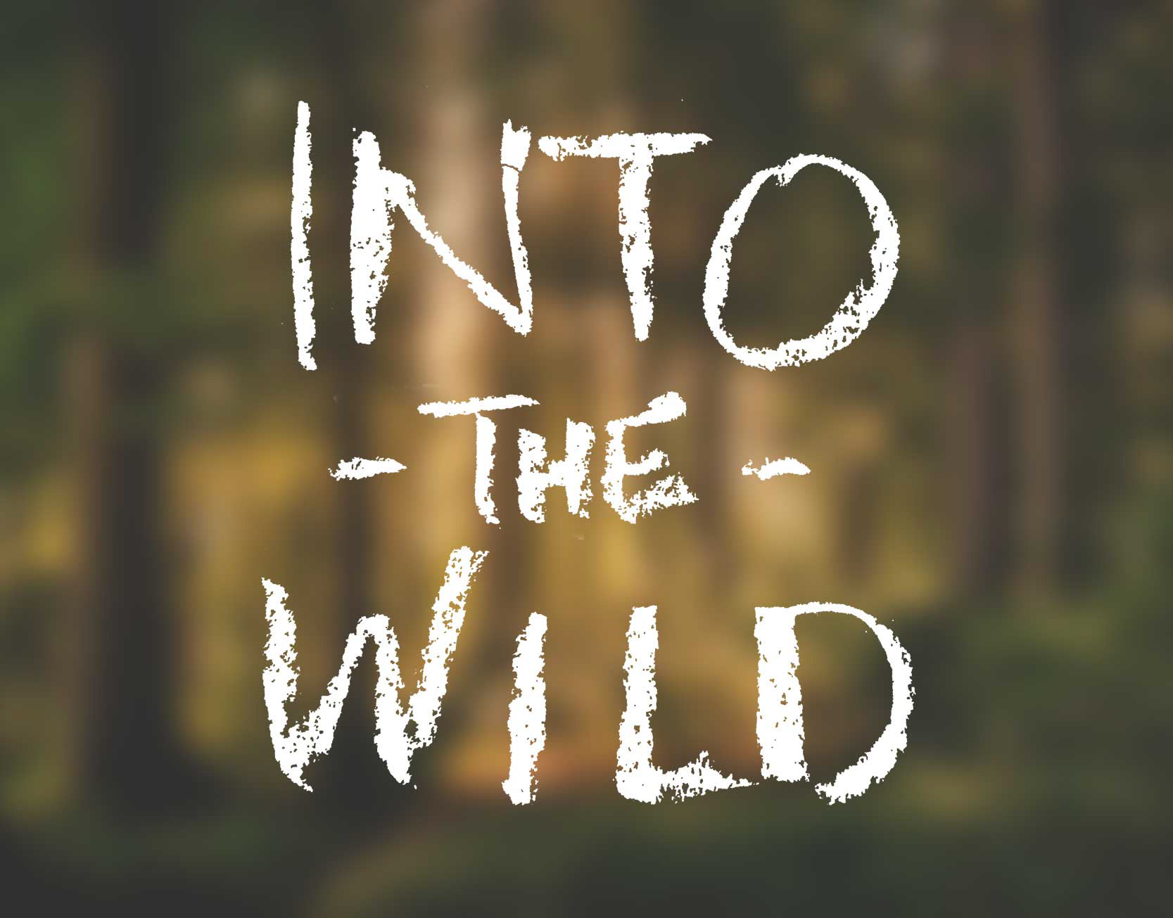 Into the Wild, tesina