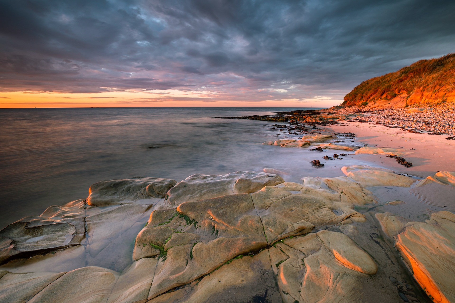 Brief encounter.  Low Hauxley. Northumberland