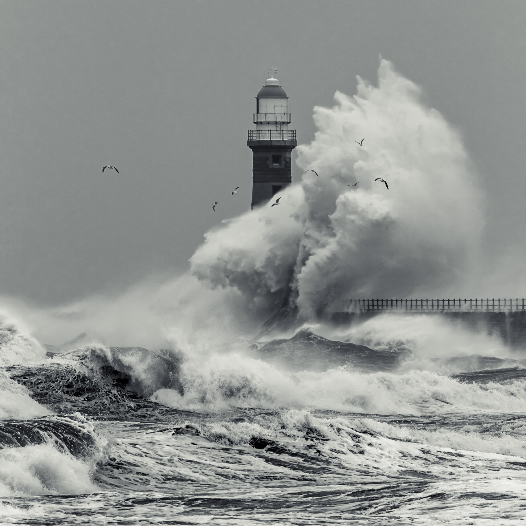Fury