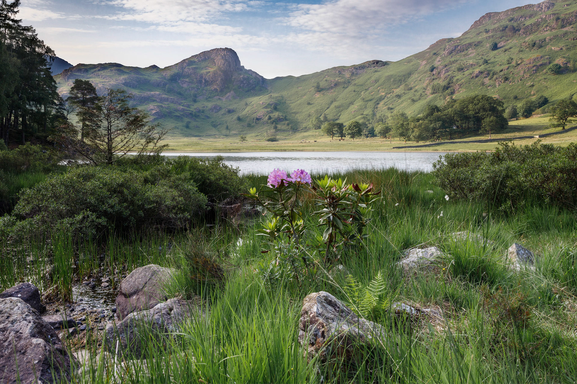 Blea tarn.