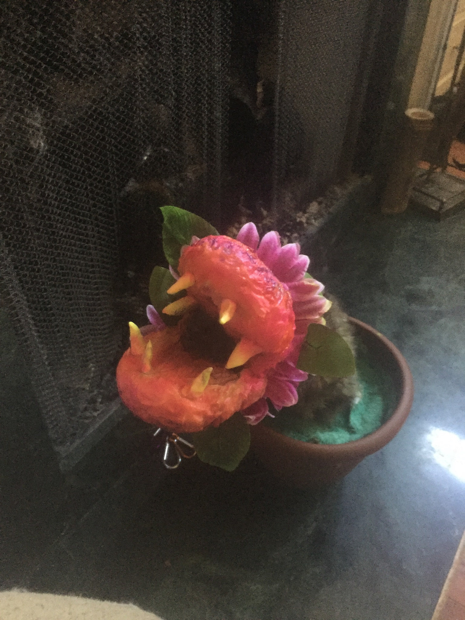 February 2017—Little Audrey 2