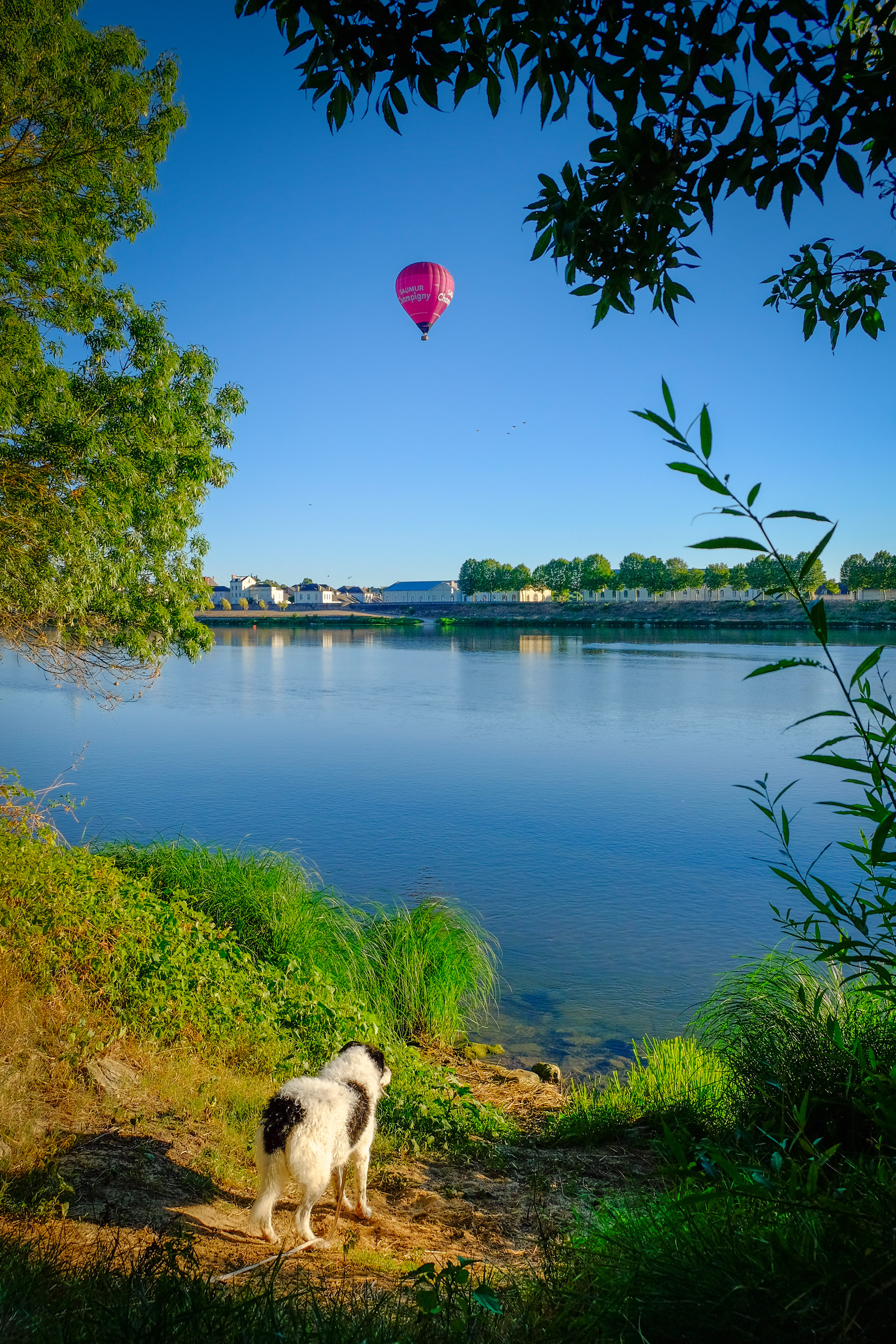 Saumur