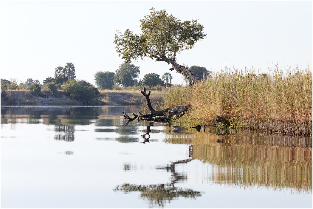 Morning on the Chobe River - Botswana