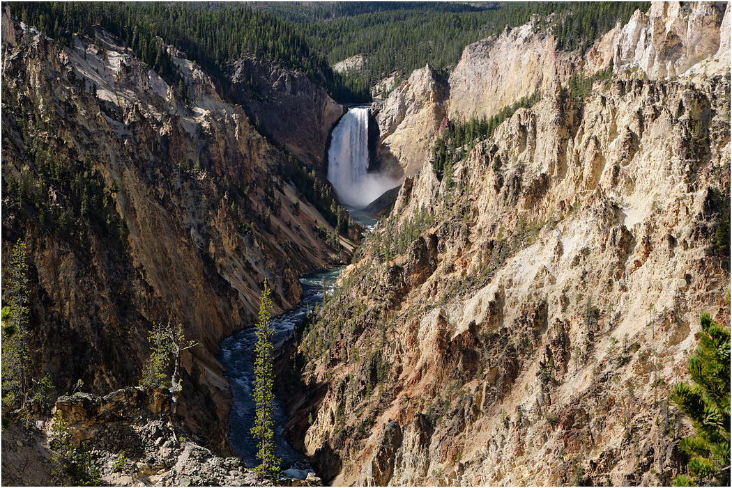 Lower Falls, Yellowstone River, Yellowstone NP