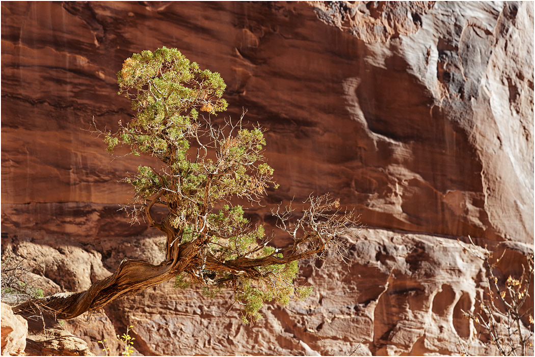Arches National Park, Utah