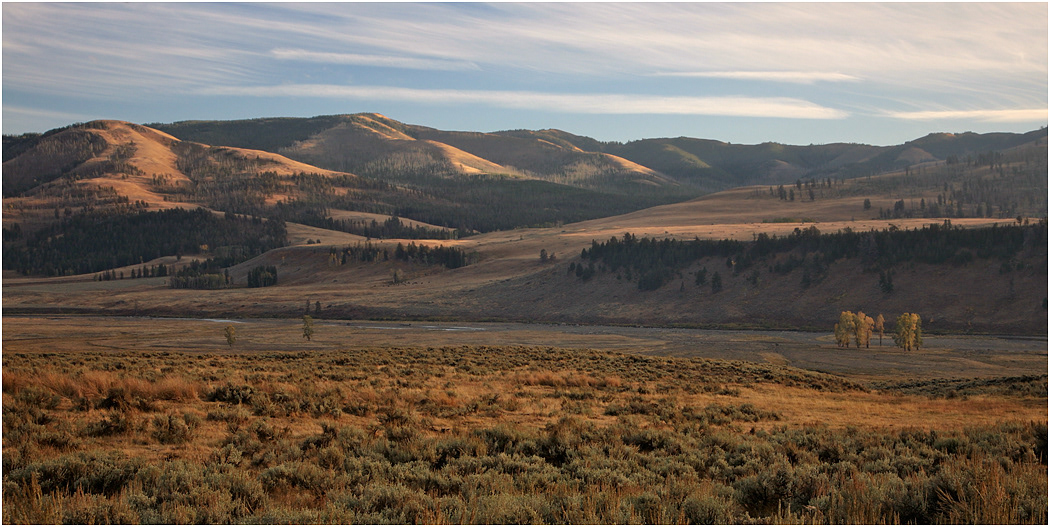 Lamar Valley, Yellowstone National Park