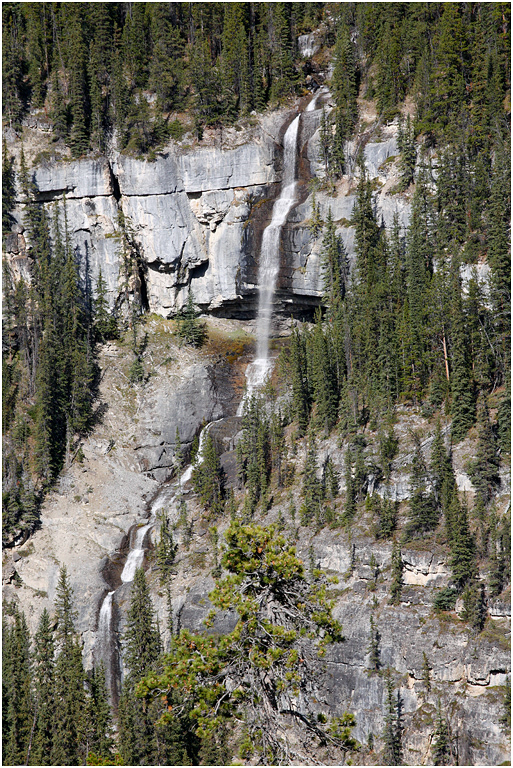 Panther Falls, Icefields Parkway, Banff NP