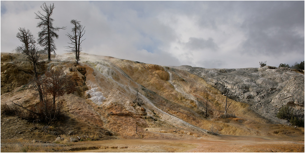 Lower Terrace, Mammoth Hot Springs, Yellowstone NP
