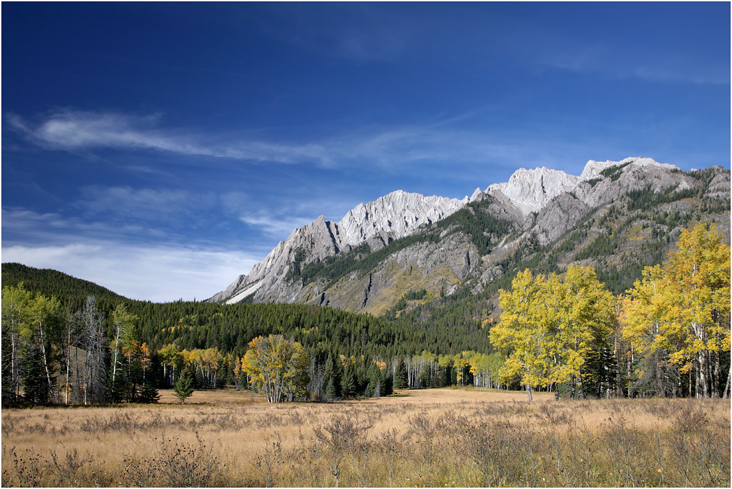 The Massive Range from Hillsdale Meadows