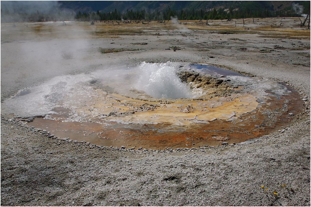 Mustard Spring, Biscuit Basin, Yellowstone NP