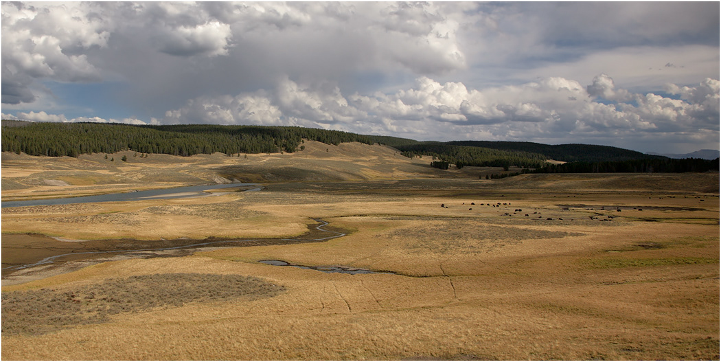 Hayden Valley, Yellowstone