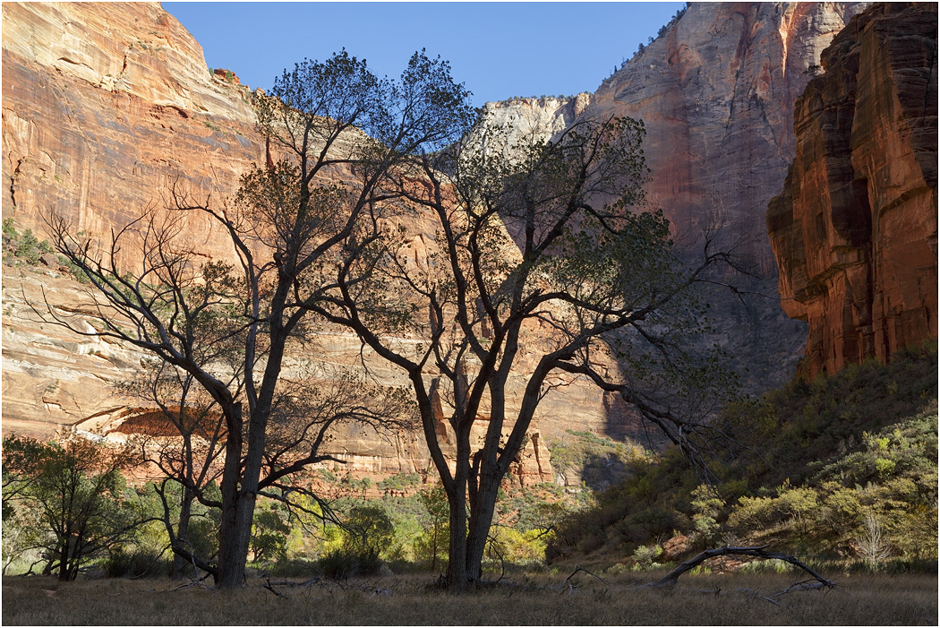 Zion National Park, Utah