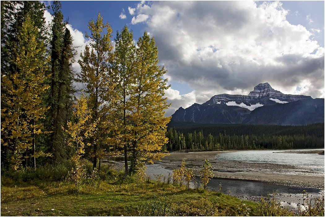 Athabasca River and Mountains from the Icefields Pathway