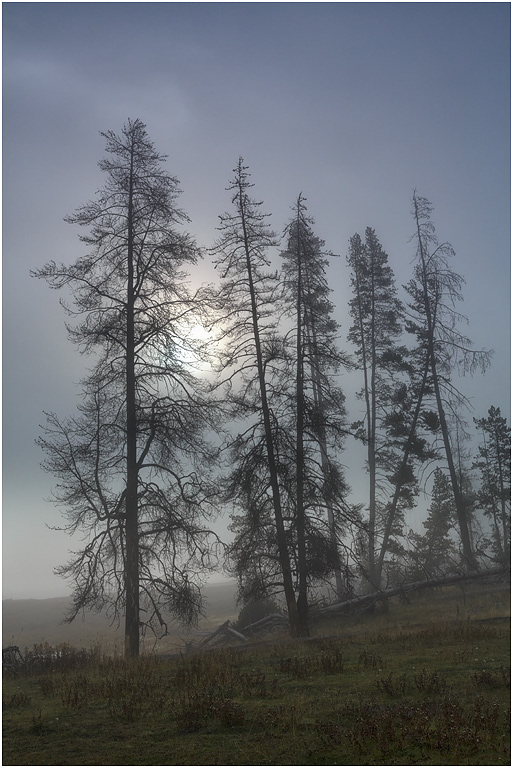 Mist in Hayden Valley, Yellowstone NP