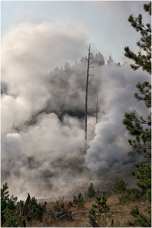 Cooking Hillside, Hayden Valley, Yellowstone