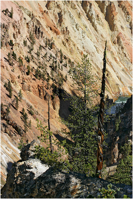 Canyon of the Yellowstone River, Yellowstone NP