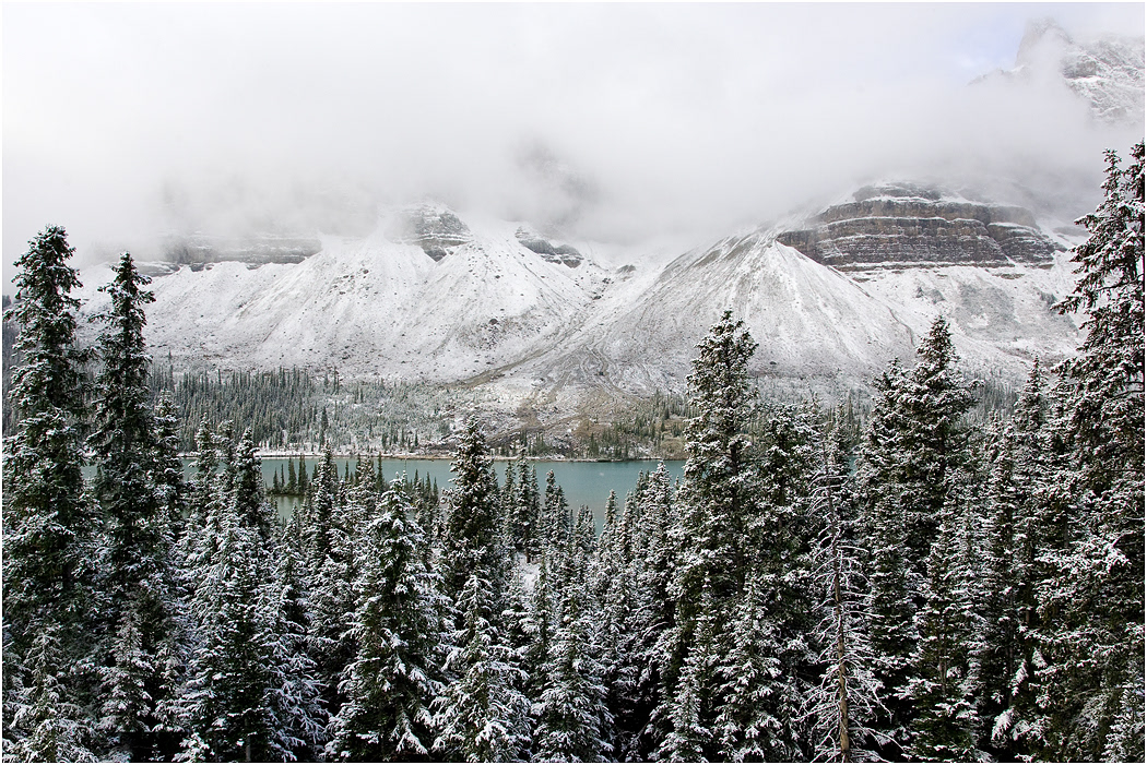 Early Snow at Bow Lake, Banff NP