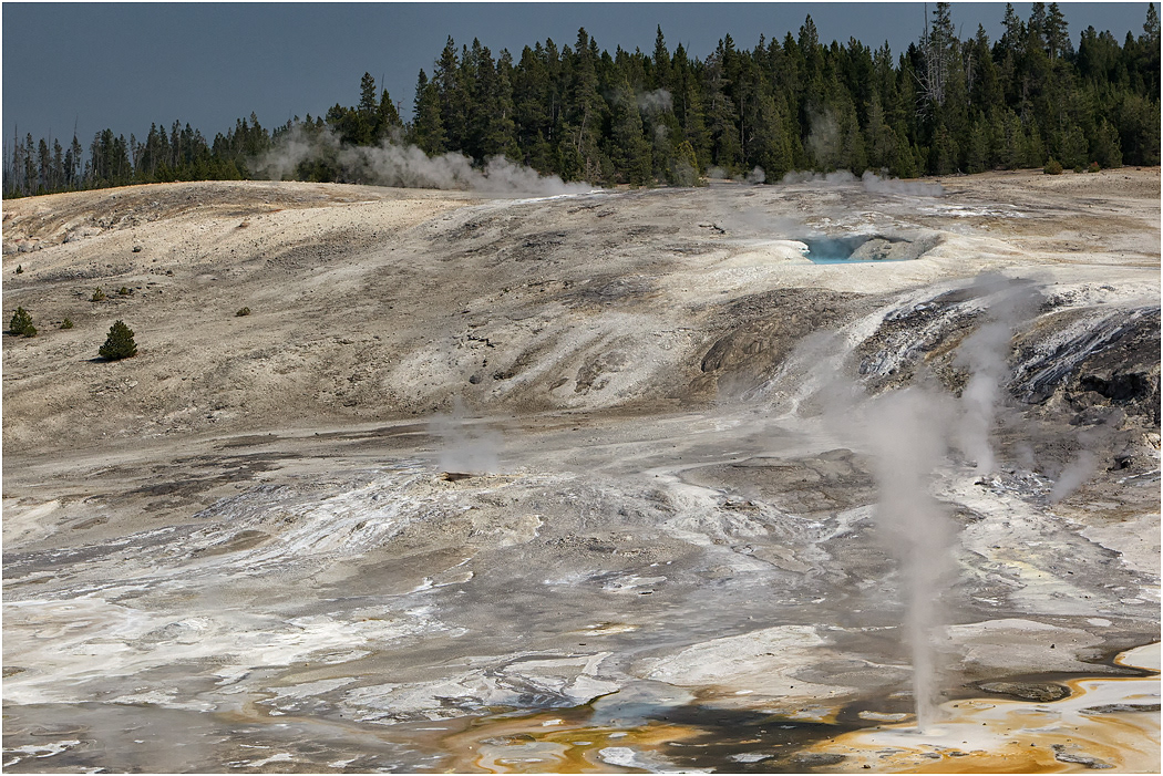 Porcelain Basin, Norris, Yellowstone NP