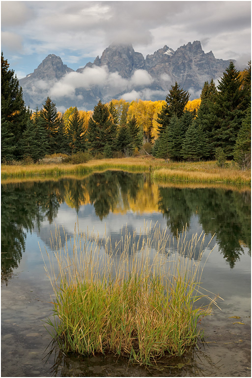 Autumn colour, The Tetons, Teton NP, USA