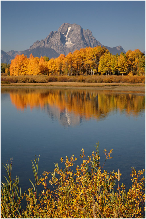 Autumn colour, The Tetons, Teton NP, USA