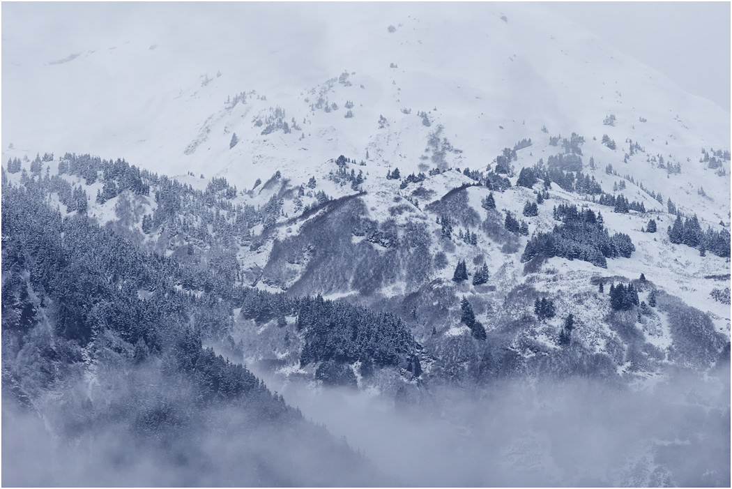 Mountain view from Chilkat River, Alaska