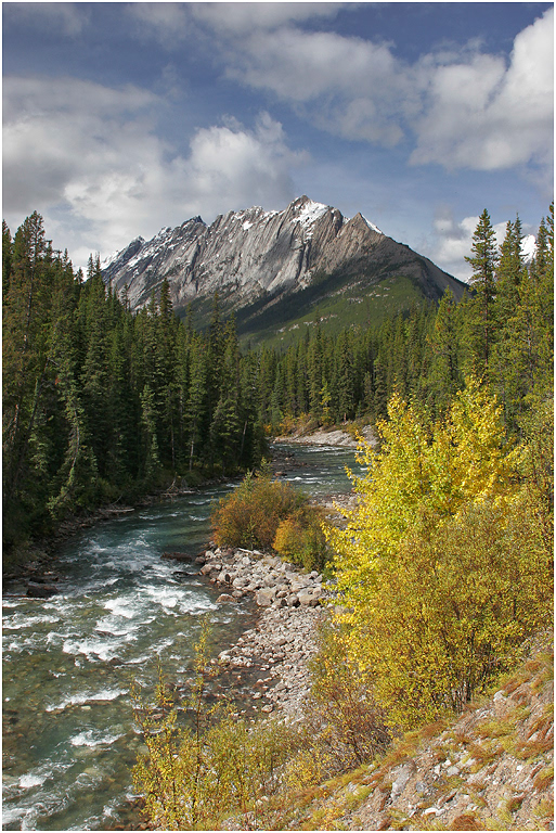 Maligne River, Jasper NP