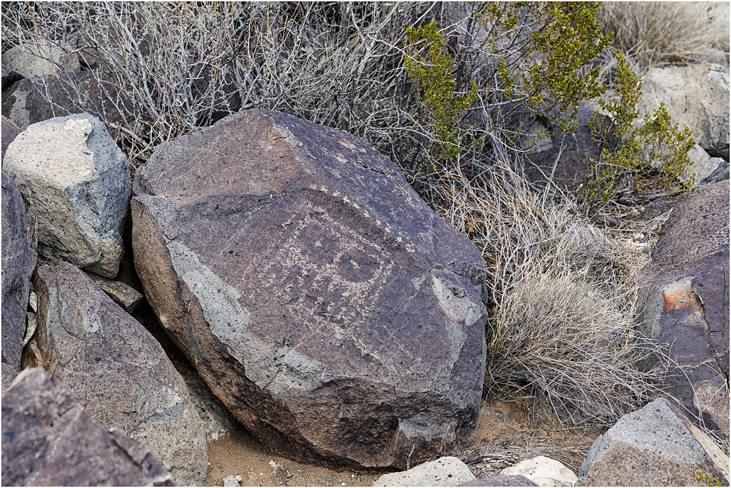 Petroglyphs, Three Rivers, NM