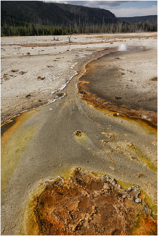 Geyser, Black Sand Basin, Yellowstone.NP