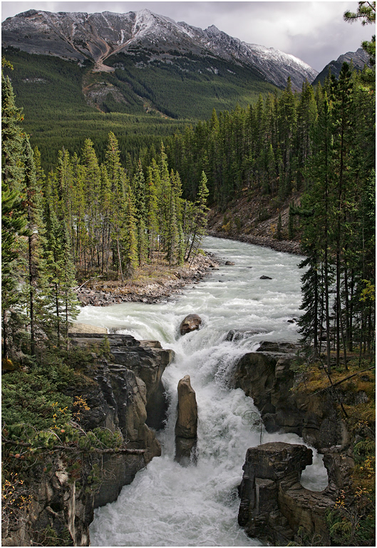Sunwapta River & falls, Icefields Parkway, Jasper NP